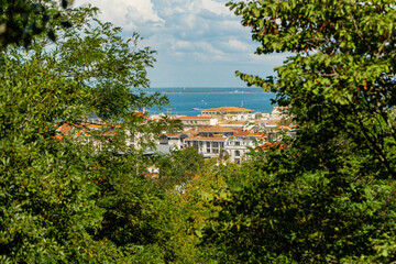 View of Arcachon bay and town framed by green trees on a sunny day