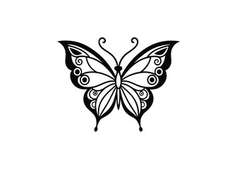 butterfly vector illustration