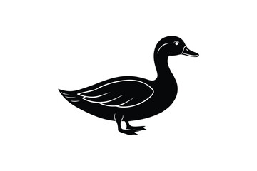 goose isolated on white