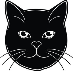 vector illustration of a cat