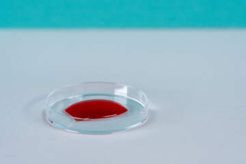 Red color blood sample in petri dish in pathology science laboratory on white surface with blue...