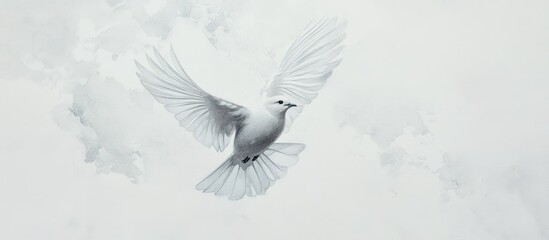 A white dove in flight against a soft, hazy sky