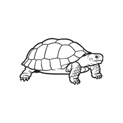 Detailed Turtle Illustration in Black and White Silhouette