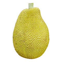Jackfruit isolated on white background