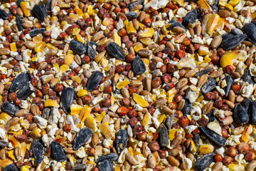 Top view of bird seeds mix