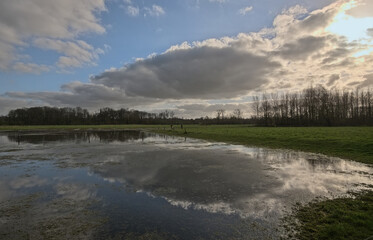 Marsh landscape in the Flemish countryside, with flooded meadow and cloudy sky reflecting in the...