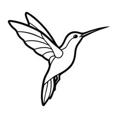 vector illustration of a bird