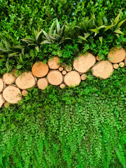The background is made of wood and surrounded by plants and grass.