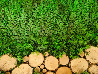 The background is made of wood and surrounded by plants and grass.