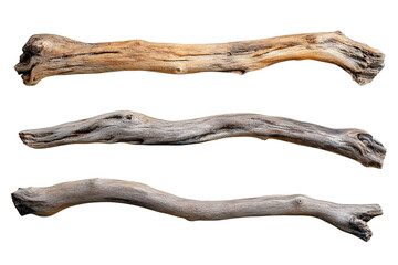 Three artistically arranged pieces of driftwood isolated on a transparent  background providing a natural aesthetic