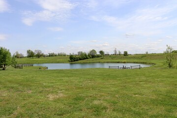 The peaceful pond in the countryside on a sunny day.