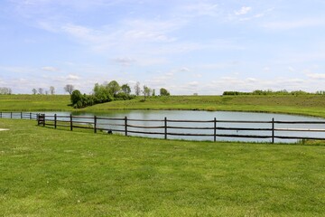 The peaceful pond in the country on a sunny day.