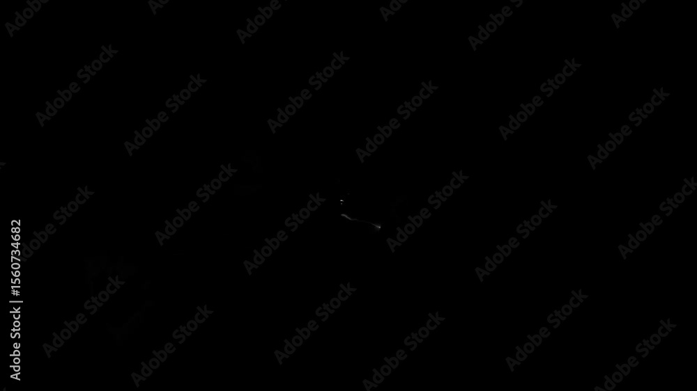 Poster placeholder video with simple gray background and rectangular sidebars for testing purposes and file