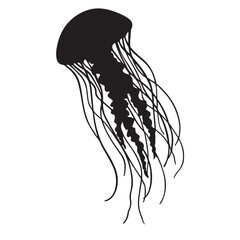 Silhouette illustration of a graceful jellyfish depicting ocean wildlife and underwater life