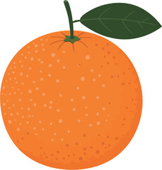 Sweet Orange Citrus Fruit Fresh Produce Illustration