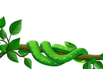  green snake isolated on white background PNG, ai generated