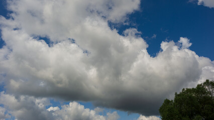 Clouds over tree tops on a summer day.
