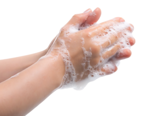 Hands washing with soap bubbles isolated on a transparent background.PNG