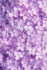 Obraz premium Exuberant Bloom Aromatic Lilac Blossoms in a Vibrant Garden, Embracing Springtime s Natural Beauty