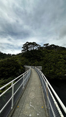 A pedestrian bridge winding through dense green forest under a dramatic overcast sky in Zealandia,...