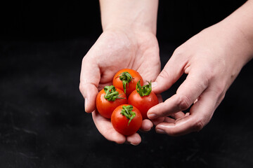 Hands holding fresh red tomatoes with green stems, showcasing vibrant colors and textures,...