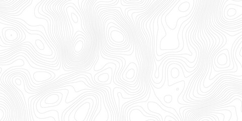 Abstract topography pattern lines sea map area space geometric strip grid line topo map technology modern design white background.	