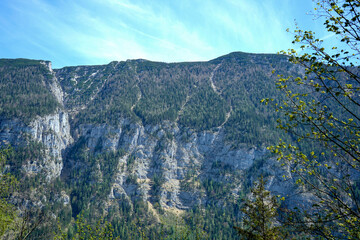 Massive rocky cliff, steep slopes, dense alpine forest, bright blue sky. Sharp elevation contrast...