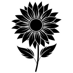 Fototapeta premium sunflower vector illustration