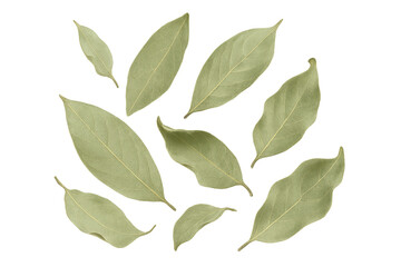 Dried bay leaves scattered, isolated on a transparent background for culinary use