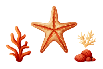 sea starfish illustration summer ocean marine isolated on white background PNG, ai generated