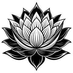 Fototapeta premium lotus flower vector