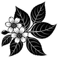 black and white flower