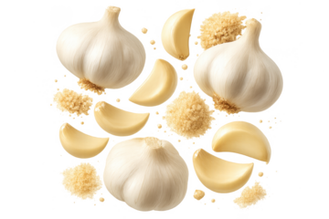 Fresh garlic bulbs, cloves, and granules isolated on transparent background, detailed