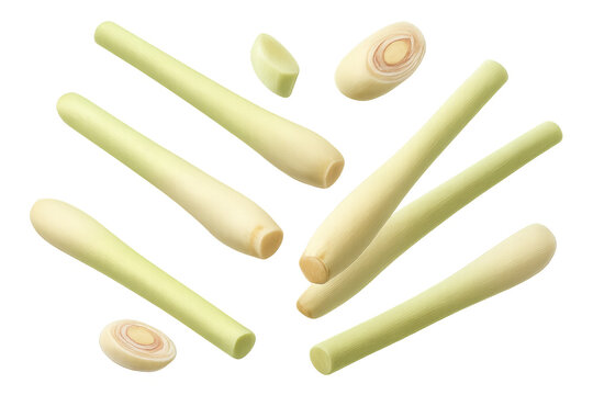 Fresh lemongrass stalks and slices isolated on transparent background, herb.