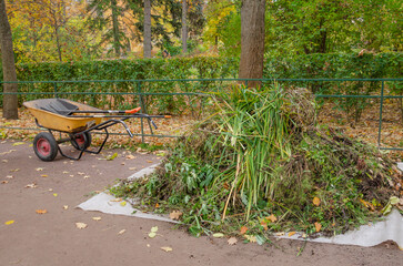 cleaning grass and leaves in the park, putting a shovel into a cart