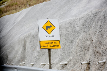 Sinalização de alerta indicando travessia de animais silvestres, com destaque para capivaras. Imagem útil para temas de preservação ambiental, segurança viária e fauna brasileira.
