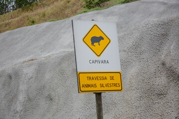 Sinalização de alerta indicando travessia de animais silvestres, com destaque para capivaras....