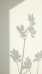 Vertical calm scene with plant shadows — elegant clean background for visual storytelling and ecommerce