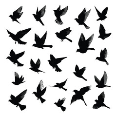bird in flight silhouette set, Black & White silhouette set