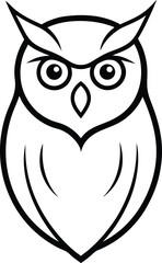 owl on white background
