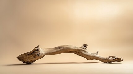 Fototapeta premium A piece of driftwood on the floor, against a beige background, with soft lighting, in a minimalist style. 