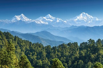 Majestic snow-capped peaks pierce a vibrant blue sky, rising above a dense forest of emerald green hills.  A panoramic view of the Himalayas