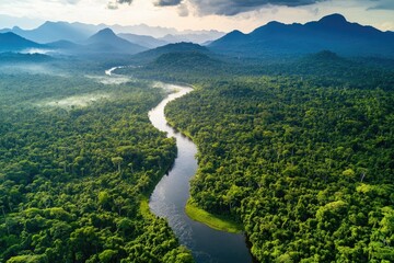 Lush rainforest landscape, winding river, mountainous horizon. Aerial view of a dense, verdant forest, with a winding river snaking through it. Misty mountain ranges form a backdrop.