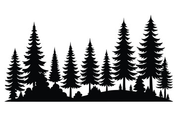 Fototapeta premium Majestic silhouette of evergreen trees in a forest