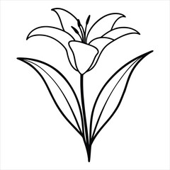Minimalist Black and White Drawing of a Lily Flower with Leaf