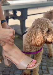 woman fastens her sandals on a bench and a dog sits next to her