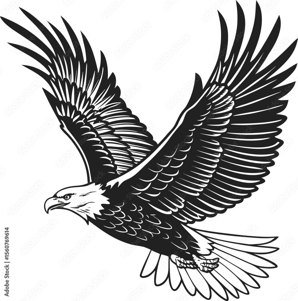 Poster symmetrical eagle wings in flight sharp detailed vector design