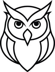 owl on white background
