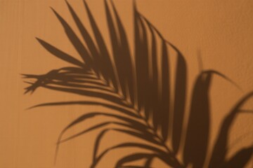 A delicate pattern of palm leaves casts intricate shadows across a plain beige wall, creating a beautiful interplay of light and dark areas, with sharply defined leaf segments and detailed natural tex