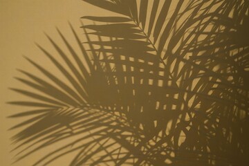 A delicate pattern of palm leaves casts intricate shadows across a plain beige wall, creating a beautiful interplay of light and dark areas, with sharply defined leaf segments and detailed natural tex